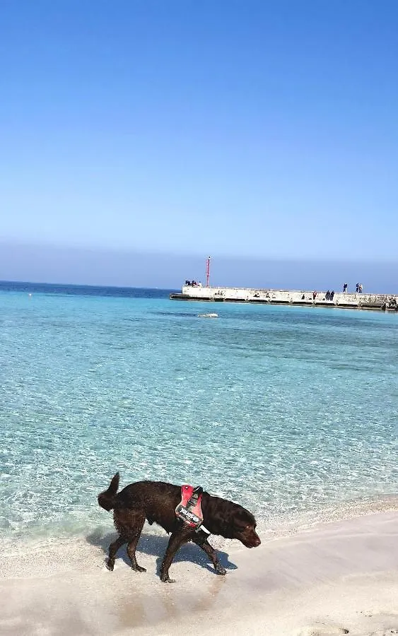 Happy Home - Mondello Palermo